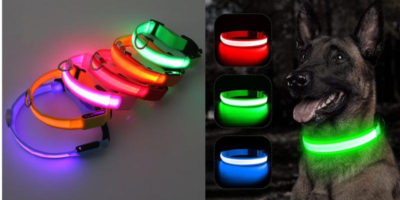 Trela com luz Led - Carregamento USB