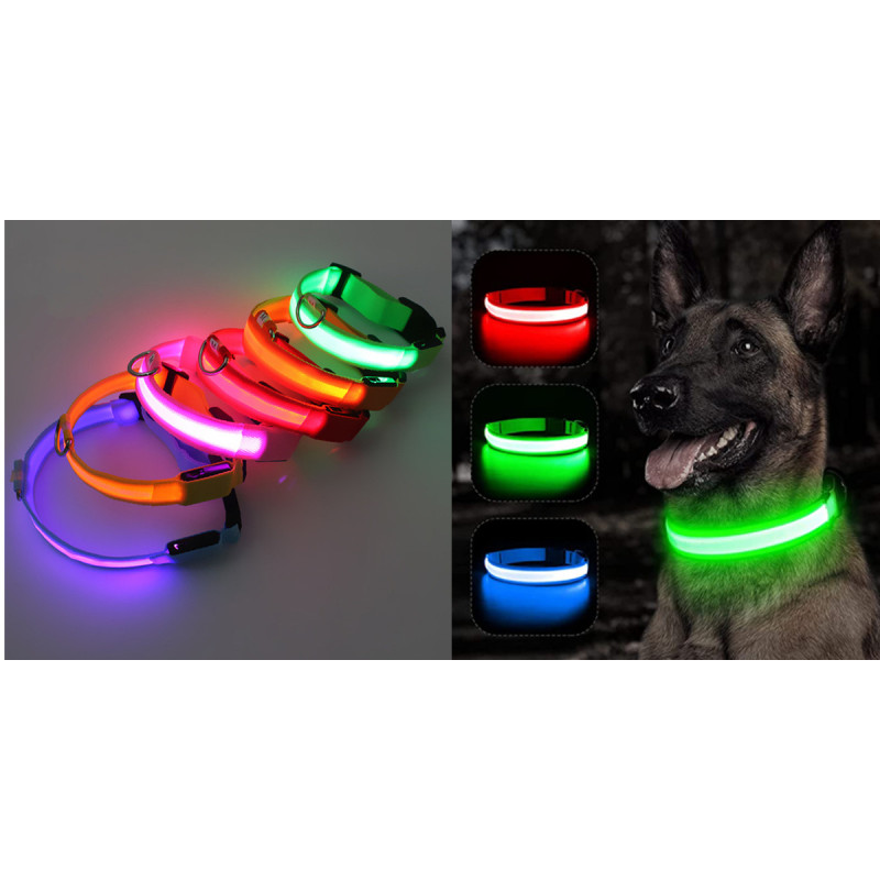 Trela com luz Led - Carregamento USB
