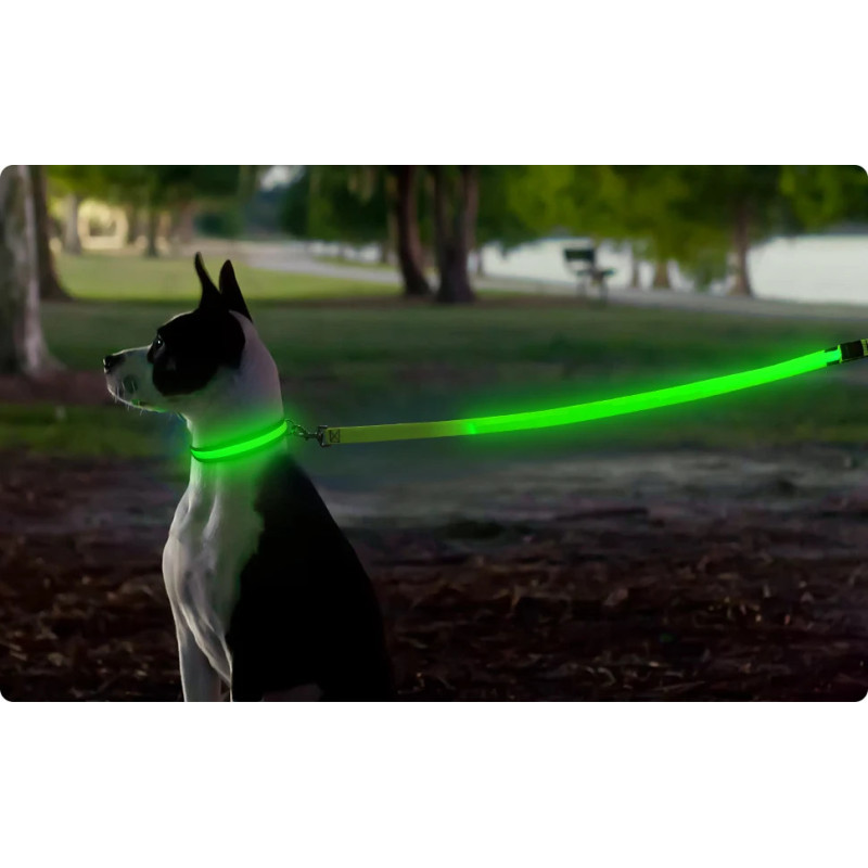Trela com luz Led - Carregamento USB