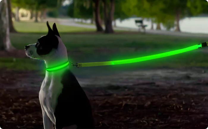 Trela com luz Led - Carregamento USB