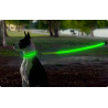 Trela com luz Led - Carregamento USB