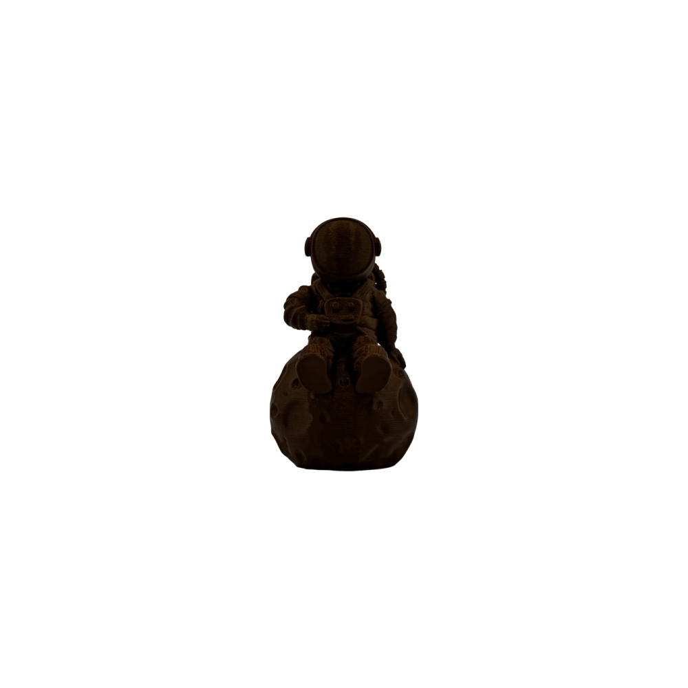 Filamento PLA para impressão 3D Diâmetro 1,75 mm (Ébano)