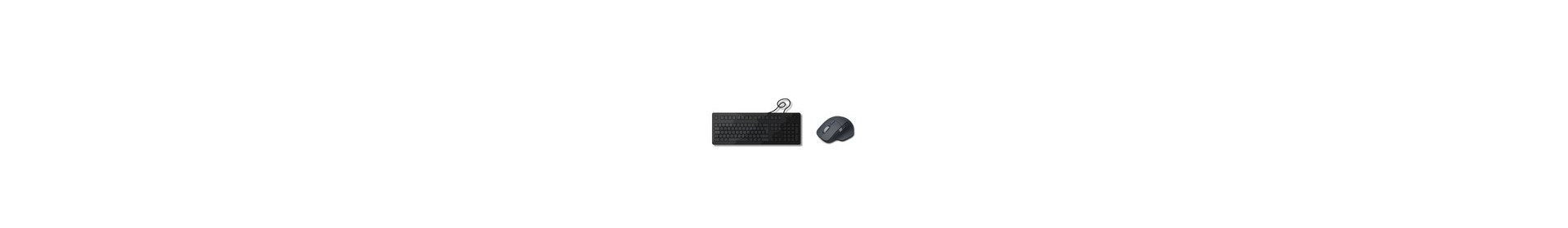 Teclado + Rato