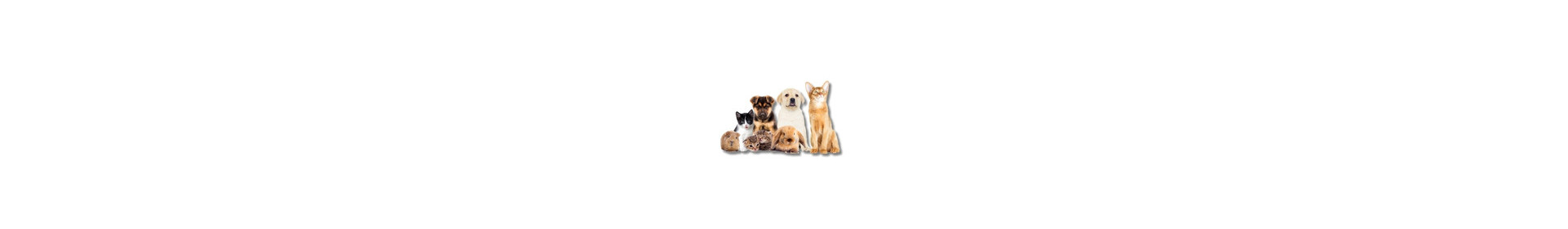 Animais de Estimação
